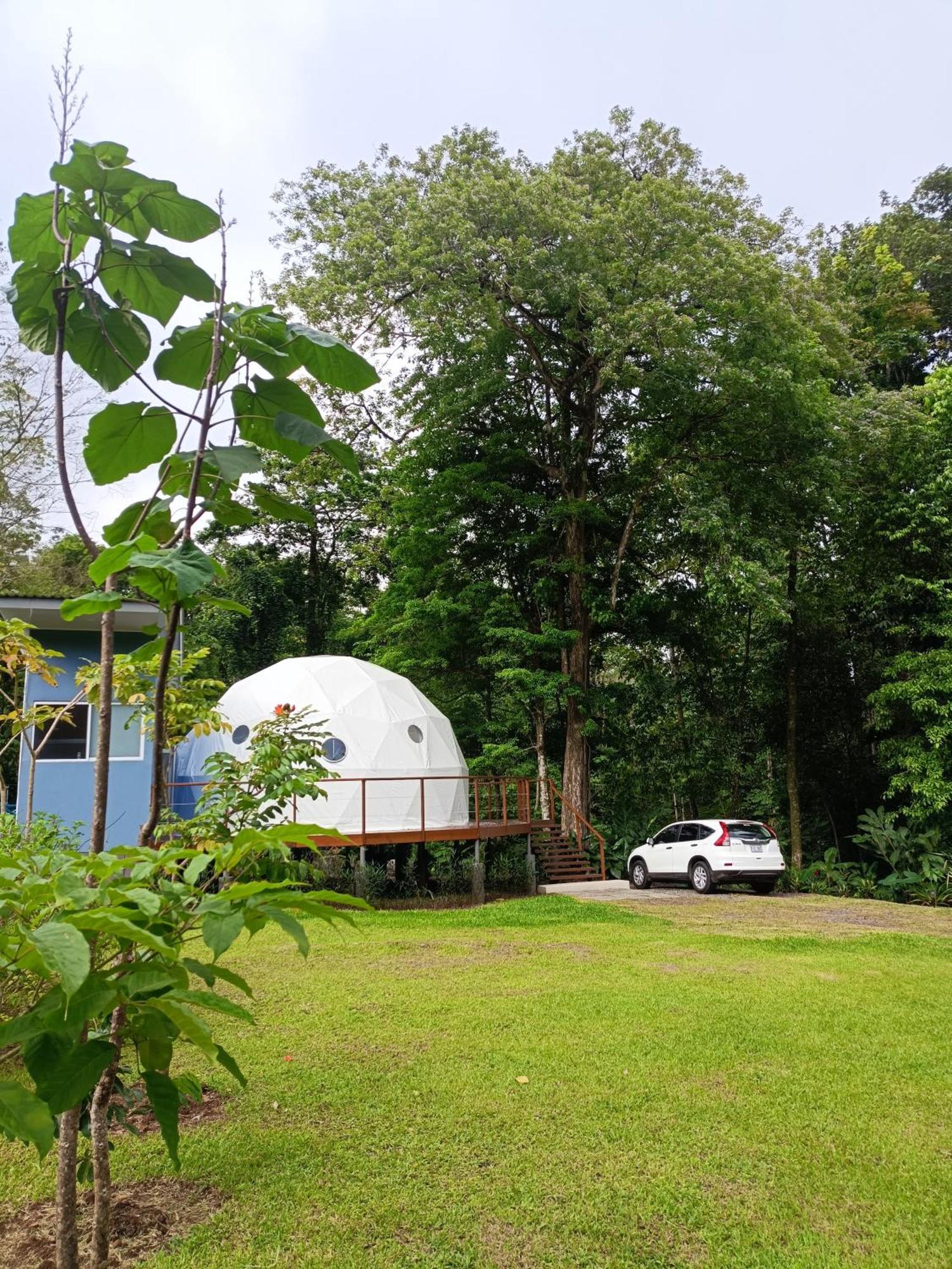 Bitzu Dome-Bijagua Riverside Glamping Экстерьер фото