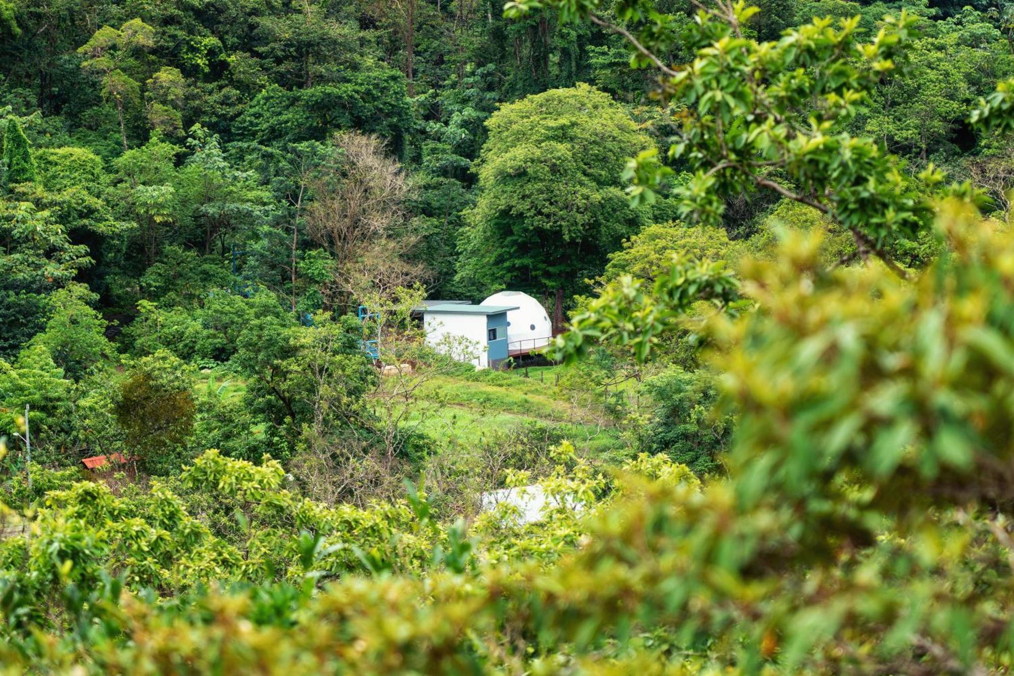 Bitzu Dome-Bijagua Riverside Glamping Экстерьер фото
